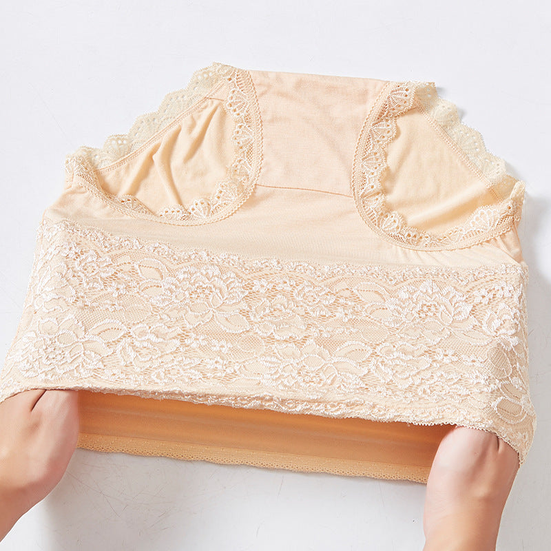 High Waisted Lace Briefs